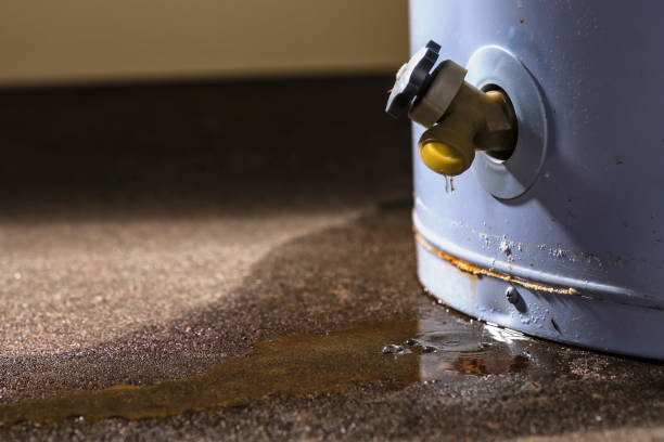 Water damage restoration mold remediation in West Grove, PA