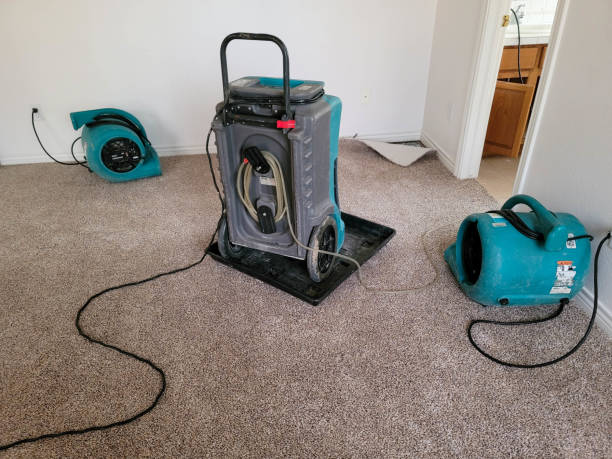 Best Water damage cleanup near me  in West Grove, PA