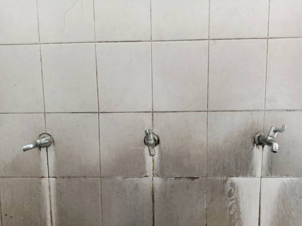 Best Water damage contractors near me  in West Grove, PA