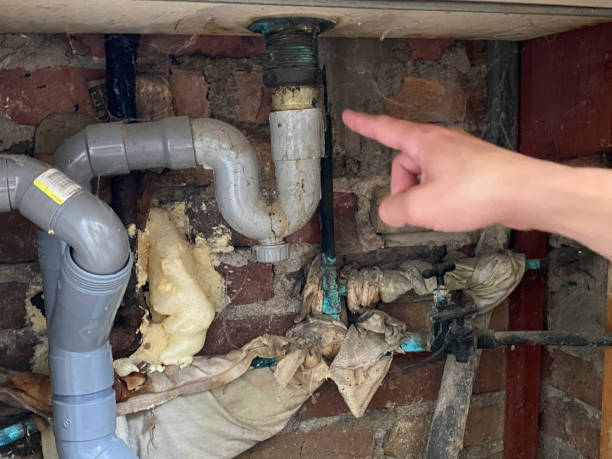 Best Basement water damage restoration  in West Grove, PA